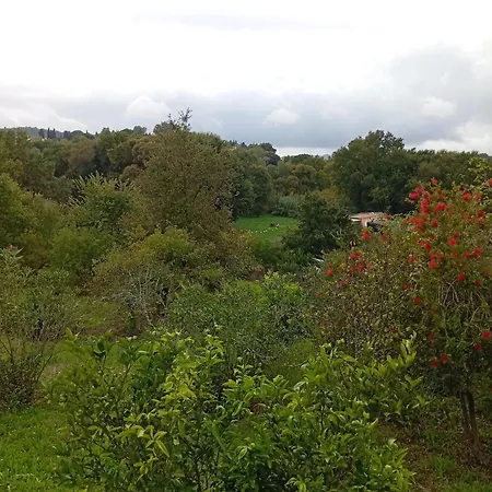 Catherine's Maisonette *